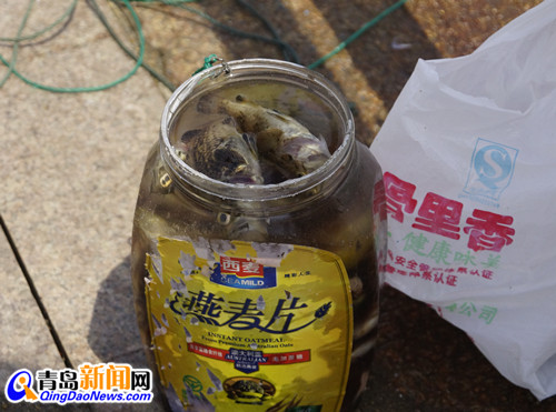 曝光浮山湾畔无德垂钓者 专钓5厘米长小鱼