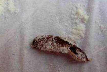 多美滋被指急于销毁蟑螂奶粉证据 未赔消费者