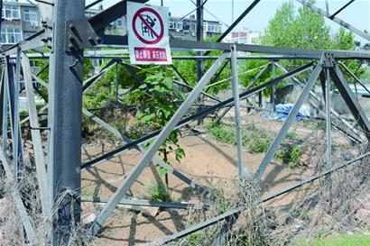 浮山圈地毁绿遭市民谴责 菜地等将被清理 浮山圈地毁绿遭市民谴责 菜地等将被清理