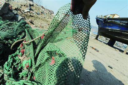 鲅鱼产量较往年大幅减少 恐步小黄花后尘