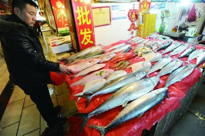 鲅鱼产量较往年大幅减少 恐步小黄花后尘