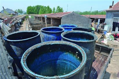 山村藏11个泔水猪养殖场