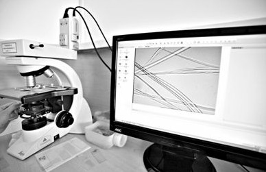 近半蚕丝被质量不达标 皮尔卡丹等品牌已下架