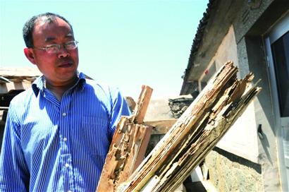 青岛110处遭白蚁入侵 专家出招人蚁大战 青岛110处遭白蚁入侵 专家出招人蚁大战