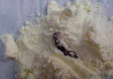 多美滋奶粉现风干蟑螂 售后称你带孩子找消协