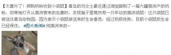 传青岛母亲购澳洲奶粉收到袋鼠 证实纯属玩笑