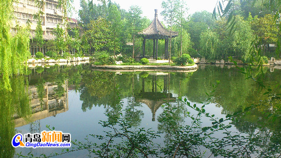 洗砚池宁静美丽，可惜未见白鹅浮水，少了一些当年情趣