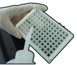 食品检测过程揭秘:猪肉粉身碎骨验明正身