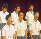 你不了解的奇葩日本揭秘