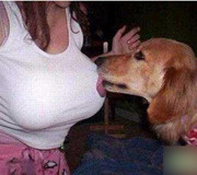 盘点令美女抓狂的好色动物