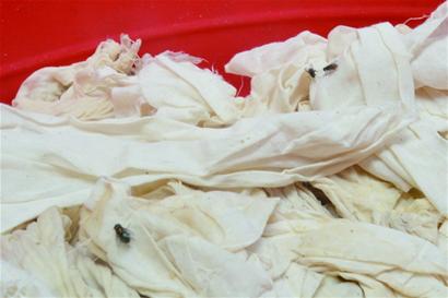 敦化路黑豆腐坊被捣毁 进门惊起苍蝇一片