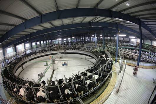 D:\蒙牛\你的疑问 我的责任\资料\图片\IMG_4797.JPG