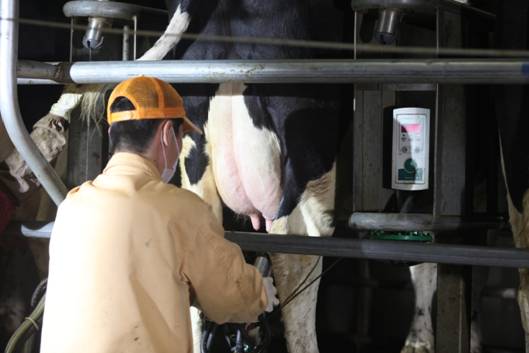 D:\蒙牛\你的疑问 我的责任\资料\图片\IMG_4837.JPG