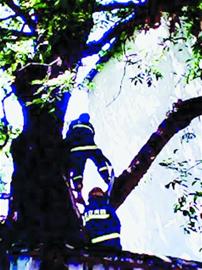 青岛连续6天35℃以上 未来一周无大雨情