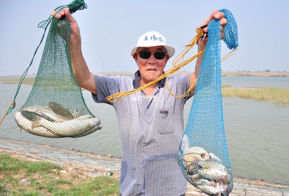 盛夏大沽河水草丰美 大闸蟹一小时抓十斤