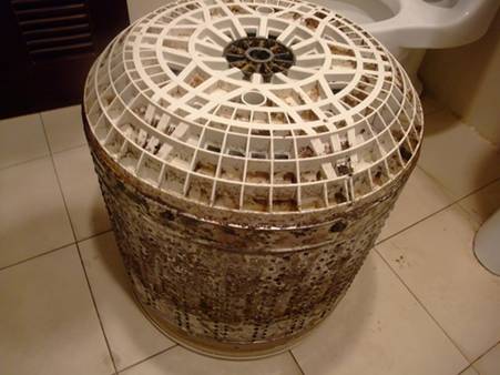 LG携手中国家电网进行权威调查 74.5%用户正在遭受洗衣机二次污染危害