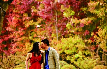 强冷空气今天下午袭来 市区最低温将降至9℃