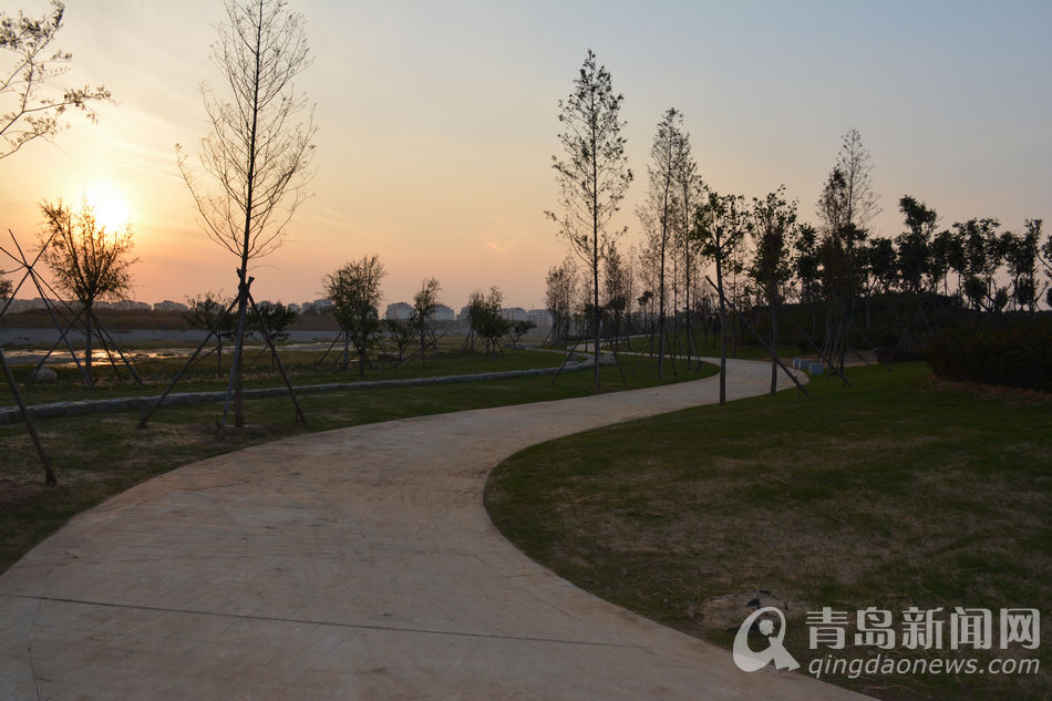 莱西投资亿元绿化洙河 打造绿色水乡