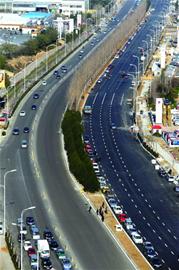 重庆路明日全线通车 绿化带景观效果初现