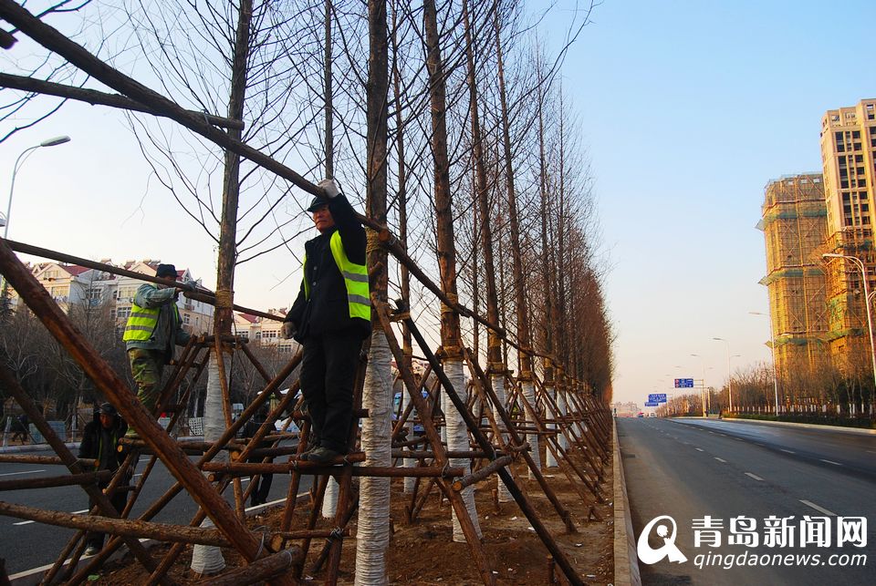 高清:重庆路全线通车 青岛第一堵如今变通途