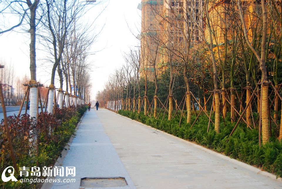 高清:重庆路全线通车 青岛第一堵如今变通途