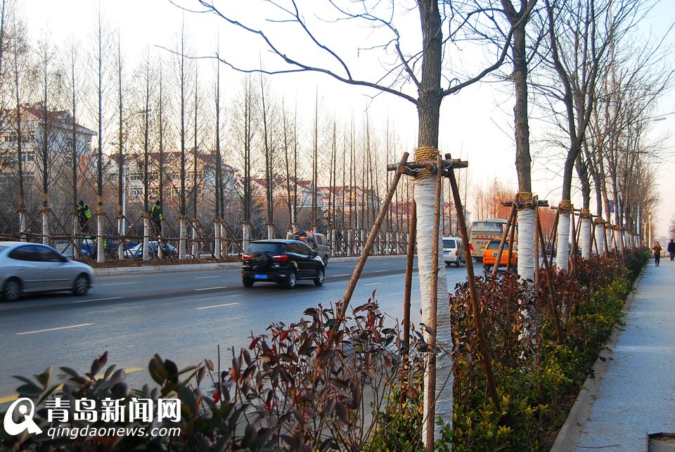 高清:重庆路全线通车 青岛第一堵如今变通途