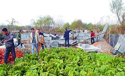 最牛村民菜地上建大房下挖地下室 城管拆3小时