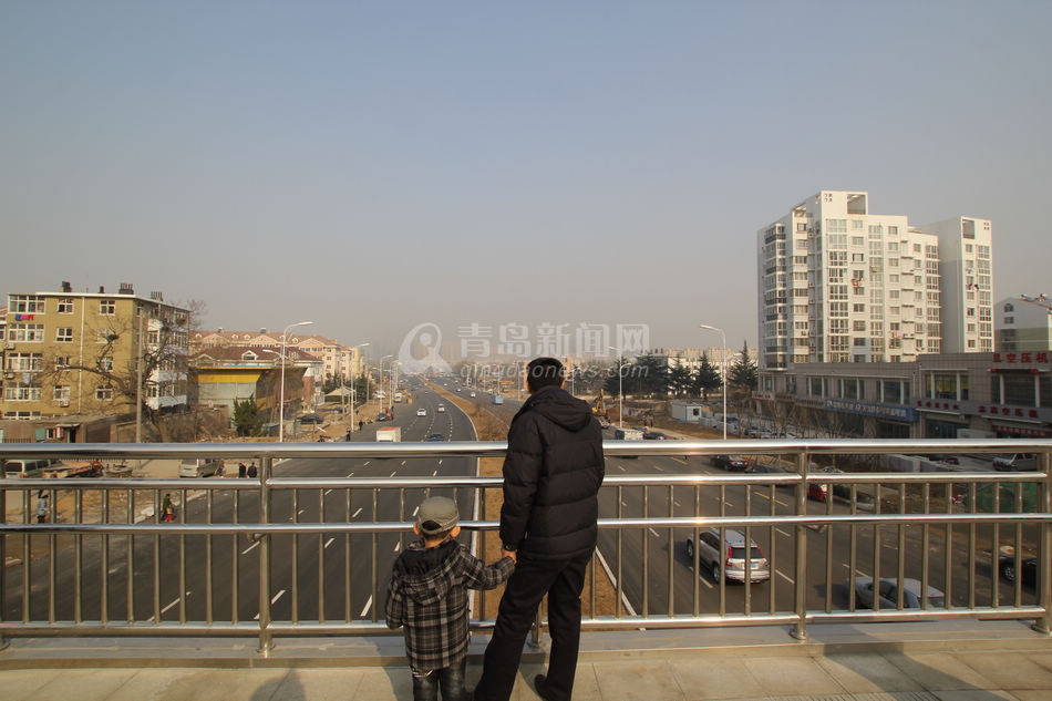 重庆路绿化规模史上空前