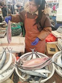 寒风起又到一年晒鱼季 海鲜摊恍若鱼林