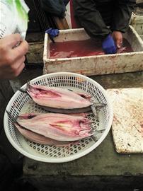 寒风起又到一年晒鱼季 海鲜摊恍若鱼林