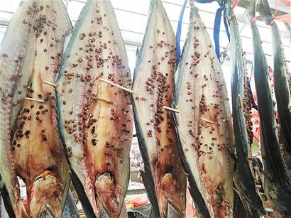 寒风起又到一年晒鱼季 海鲜摊恍若鱼林