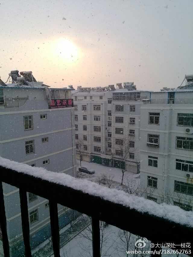 平度今冬首场雪今晨飘落 山区积雪5公分