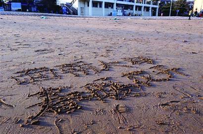 北风吹走雾霾气温小降 后天弱冷空气致小雨夹雪