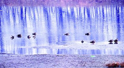 青岛春节前无强冷空气来袭