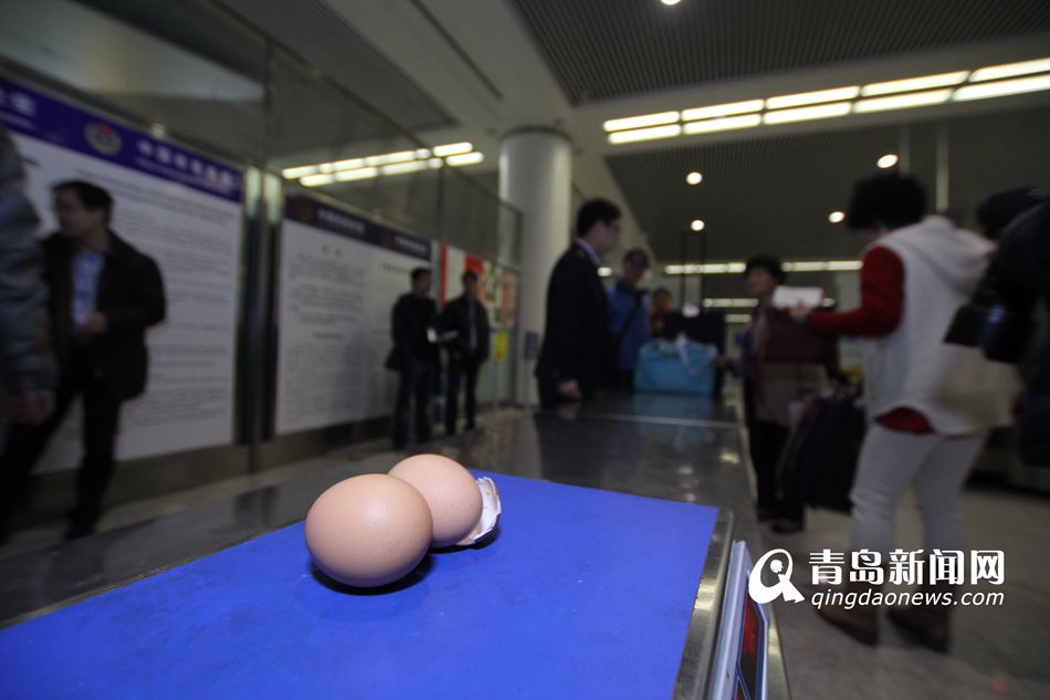 高清：实拍机场检疫犬 轻嗅就能查出违禁物品