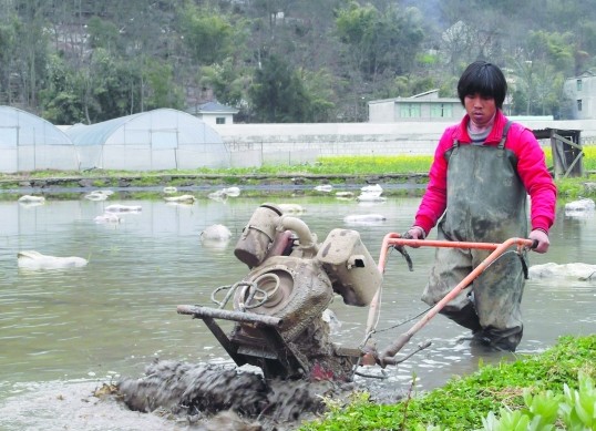 安顺市春耕备耕忙确保一季度农业生产实现“开门红” 安顺市春耕备耕忙确保一季度农业生产实现“开门红”
