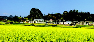 安顺特色产业助推现代农业 安顺特色产业助推现代农业