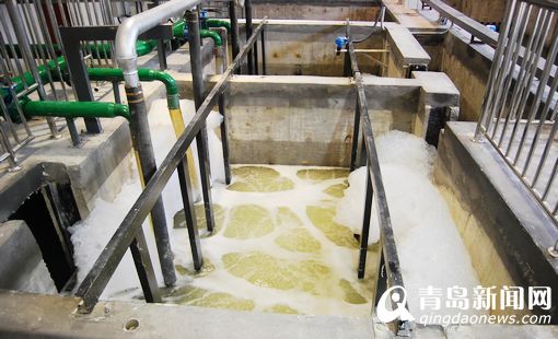 世界顶尖资源循环利用项目落户世园 环保节能