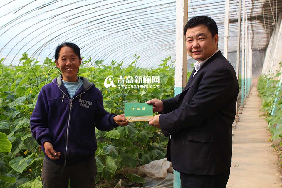 省农村信用联社：服务三农 打造普惠金融(图)