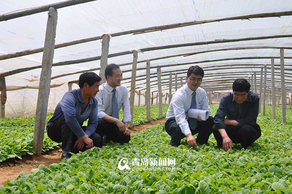 省农村信用联社：服务三农 打造普惠金融(图)