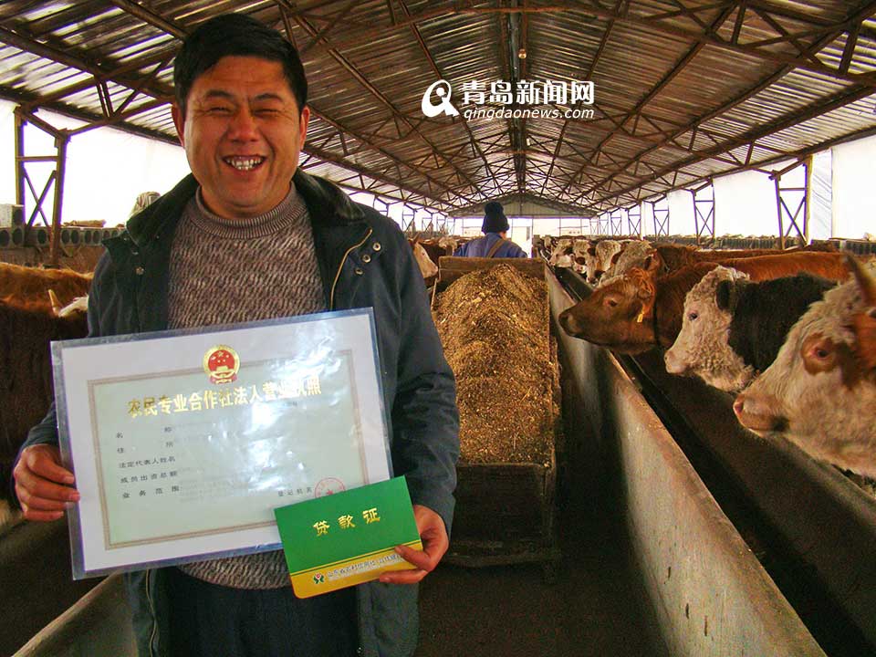 省农村信用联社：服务三农 打造普惠金融(图)