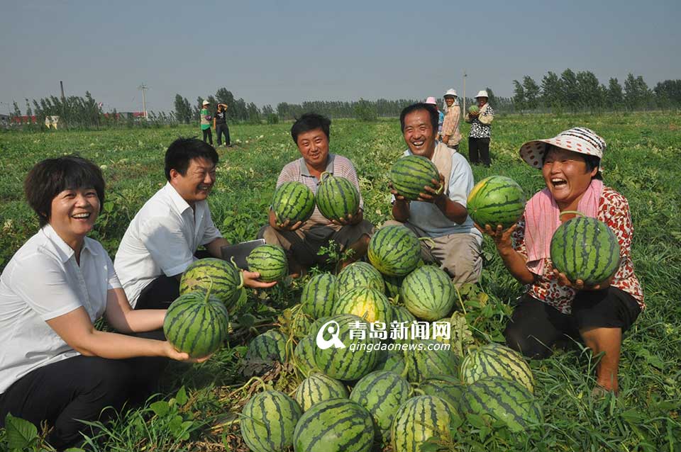省农村信用联社：服务三农 打造普惠金融(图)