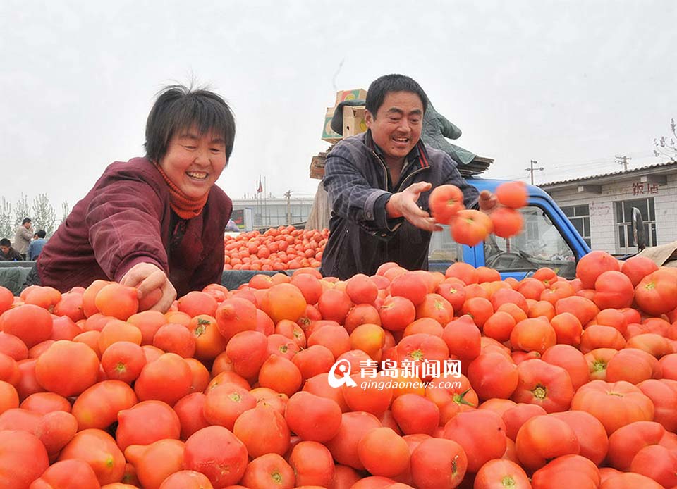 省农村信用联社：服务三农 打造普惠金融(图)