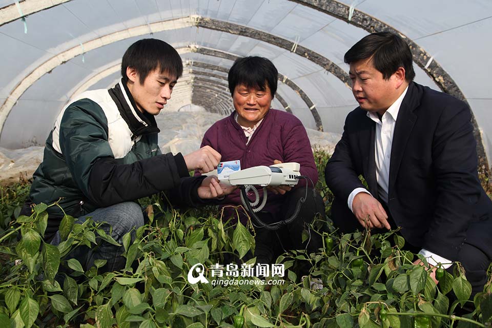 省农村信用联社：服务三农 打造普惠金融(图)