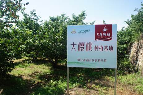 说明: DSC05851.JPG