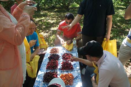 说明: DSC05862.JPG