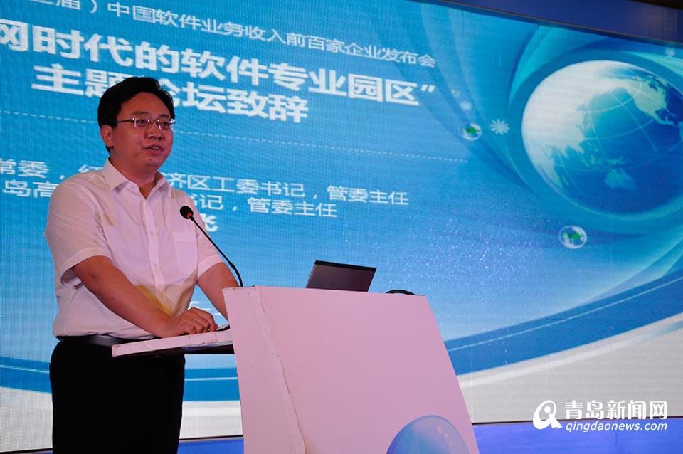互联网时代软件专业园区与运营论坛举行