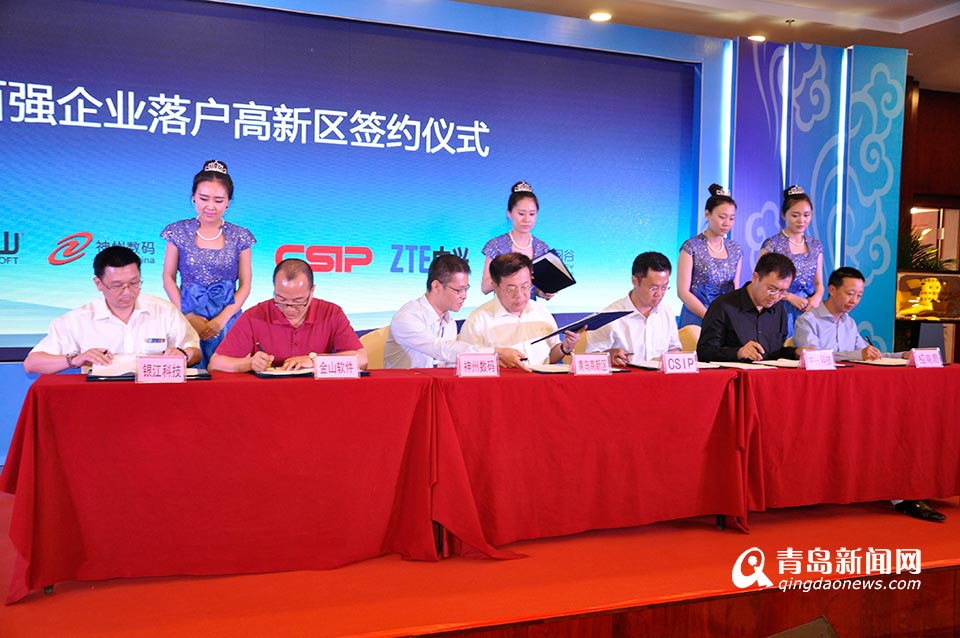 互联网时代软件专业园区与运营论坛举行