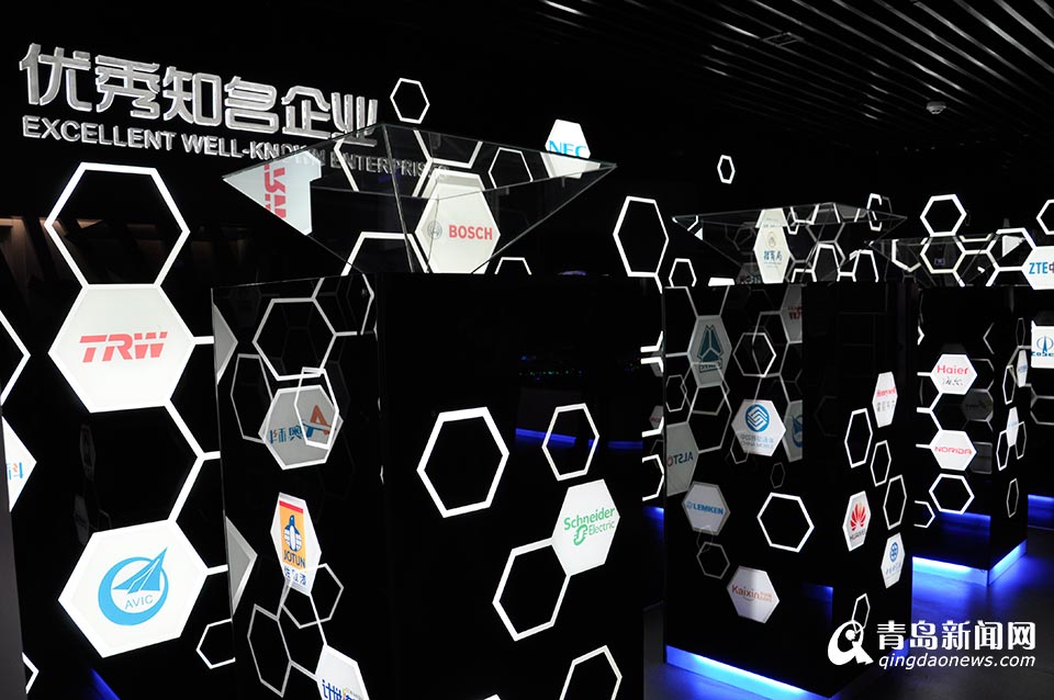 互联网时代软件专业园区与运营论坛举行