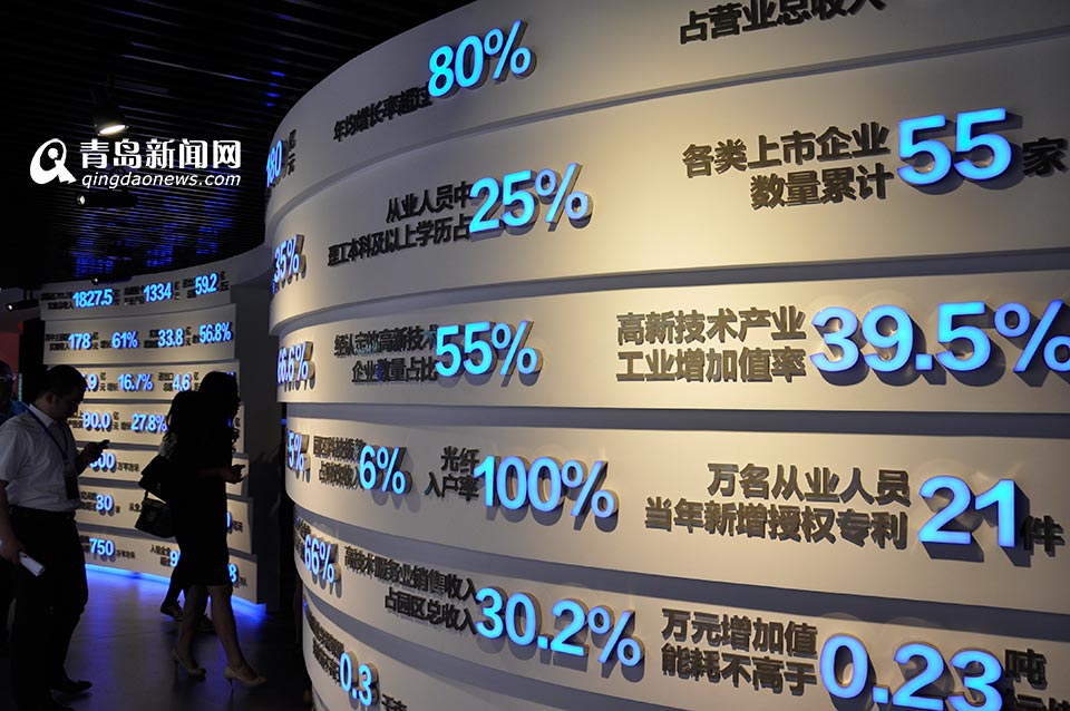 互联网时代软件专业园区与运营论坛举行